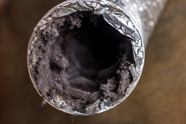 Best Duct Cleaning for Homes  in Williston, FL