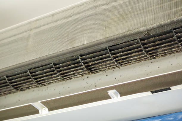 Best Affordable HVAC Duct Cleaning  in Williston, FL